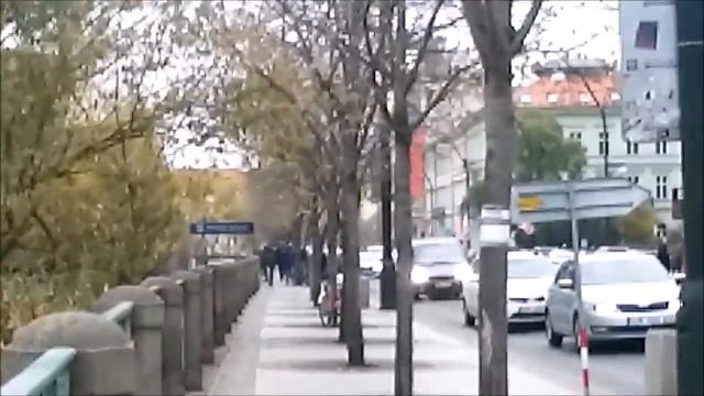 Прага , бобер в черте города , ноябрь 2018 смотреть онлайн