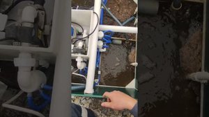 ЧЕСТНЫЙ отзыв о биосептике "ВОЛГАРЬ"