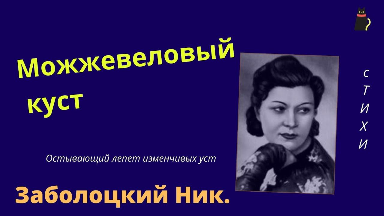 Забытый поэт.  Николай Заболоцкий.