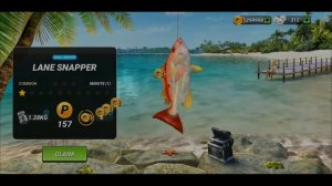 НОВЫЙ ПОДАРОЧНЫЙ КОД. NEW GIFT CODE . Fishing Clash . 16.06.2021