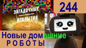 Домашние новые РОБОТЫ. З/О_244.