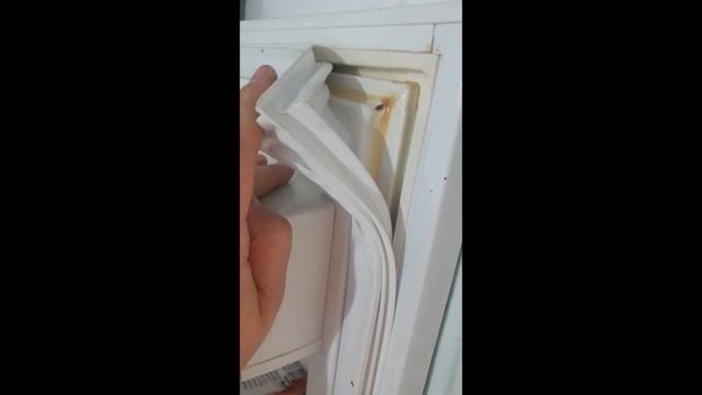 Атлант (ATLANT) уплотнитель двери холодильника с креплением в паз смотреть онлайн