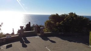 Львы в Воронцовском дворце 2 01 2021