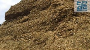 Силос и сенаж.