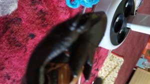 как приручить дракона 3 и как приручить дракона 4 1 часть