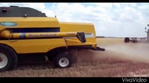 Уборка зерновых .....