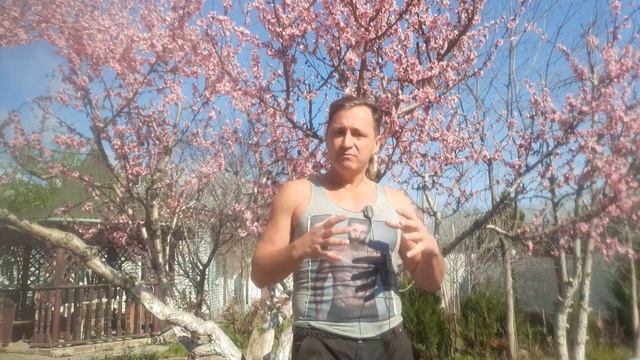 Новая позитивная психология: научный взгляд на счастье и смысл жизни. Мартин Селигман