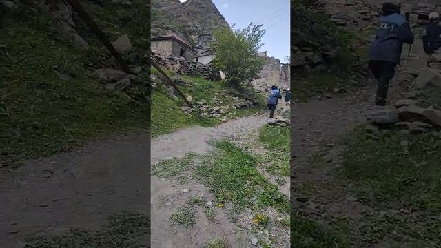 Идём за черемшой в лес Ц1ваялдаху. Чародинский район с. Гилиб.