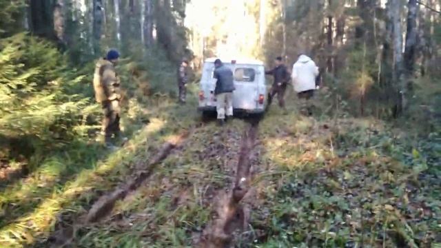 Легкая прогулка по лесу в Угличе смотреть онлайн