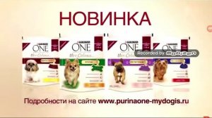 Реклама Purina one Моя Собака сухой и мокрий корм для маленьких собак?