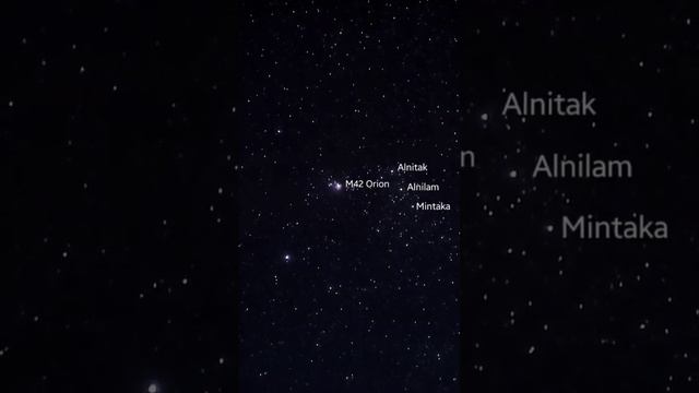 Rasi Bintang Scorpio, Orion, Pleaides, Dan Andromeda #astrophotography #short смотреть онлайн