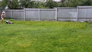 Косим Газон на даче и моя горчица.