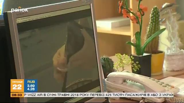 Передайте за проезд: какие права имеют контролеры в общественном транспорте?