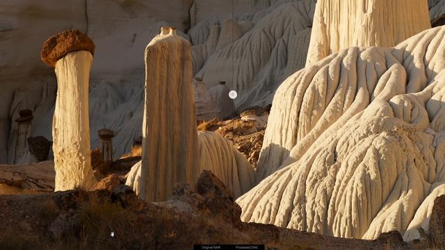 STUNNING results with DxO PureRAW смотреть онлайн