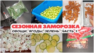 ✅ Заготовка ЕДЫ ВПРОК ?? Овощи, ягоды, зелень Часть 1