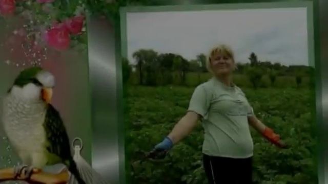 прикольные поздравления с юбилеем сестре