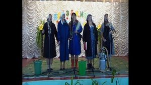 Трактористка анс Весняночка