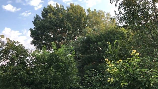 Притча смотреть онлайн