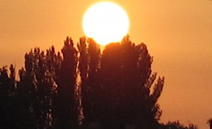 "Я позволю себе эту роскошь любить" стихи Людмилы Клёновой читает Инна Мень. Видеозарисовска