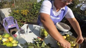 Моченые (квашеные) яблоки в банке на зиму. САМЫЕ ВКУСНЫЕ!