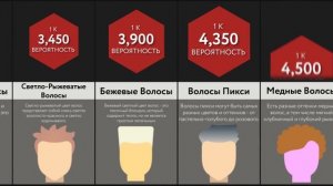 Сравнение: Цвет Волос