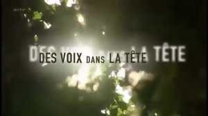 Des Voix Dans La Tête (2015)