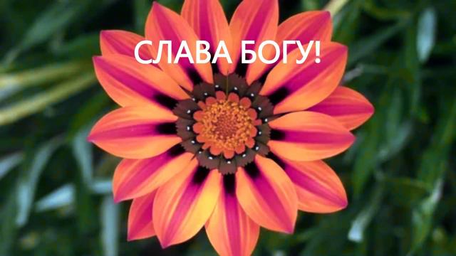 Славьте Бога славьте в песнопениях