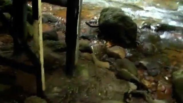 РИНКОН Де Ла ВЬЕХА / RICON De La VIEJA смотреть онлайн