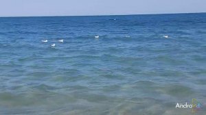 Одесса, море, пляж , обстановка на побережье 🌴 18 июля 2023