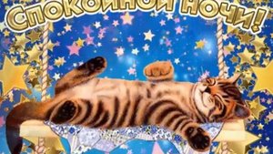 СПОКОЙНОЙ НОЧИ!?САМАЯ КРАСИВАЯ МУЗЫКАЛЬНАЯ ОТКРЫТКА!?
