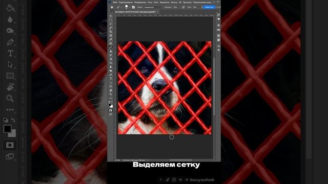 Как удалить сетку в Photoshop