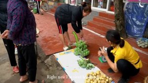 Harvest Potatoes and Bananas - Going to Upland Market To Sell - Farm Care | Wild Forest Life