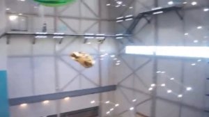 SING 2 - Porsha Crystal "Girl on Fire" (japanese dub) / シング 2 - ポーシャ・クリスタル "Girl on Fire" (日本語版)