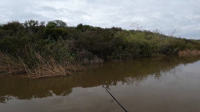 they're going shallower... (Bass Fishing) смотреть онлайн