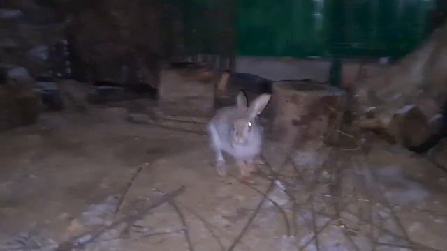 Джасти и Мазурик - первых "бах" перед Новым Годом смотреть онлайн