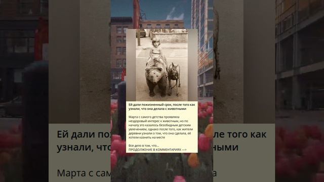 История женщины, приведшей к своему приговору из-за обращения с животными.