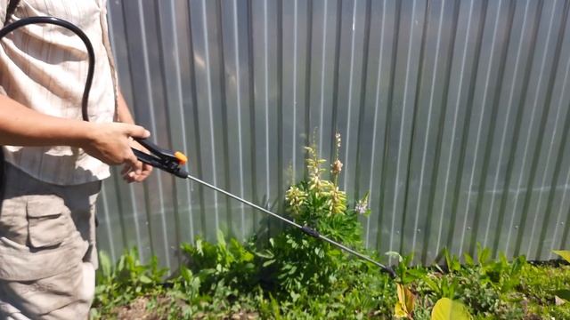 Недорогой электроопрыскиватель Патриот рт- 12ас в работе.
