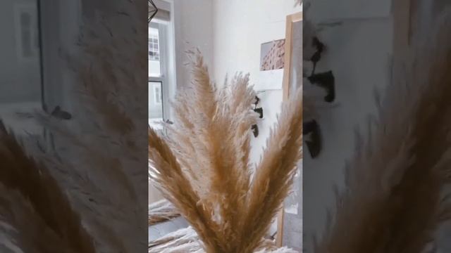 Styling Your Arizona Pampas Pampas Grass In Your Home