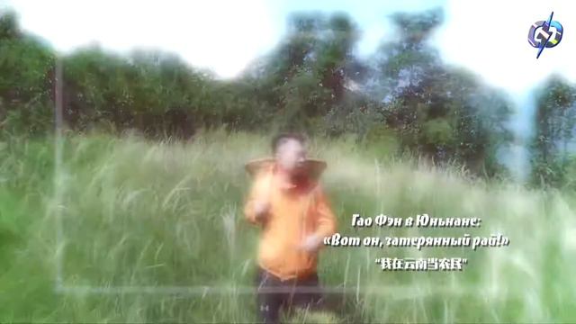 Как выглядит настоящая сельская жизнь?
