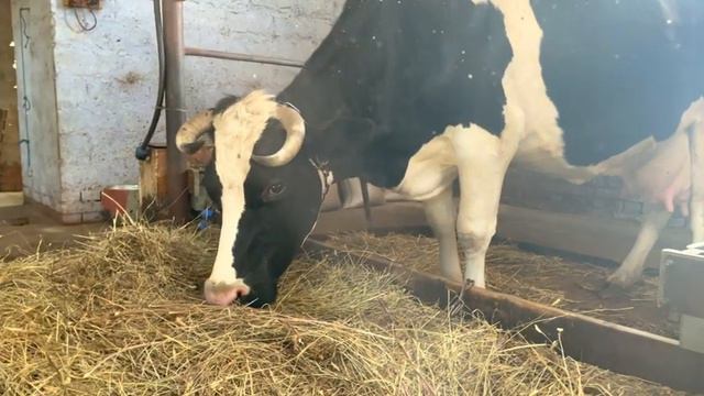 ОЧЕРЕДНОЙ ОТЁЛ И ПРИЯТНЫЕ ХЛОПОТЫ! смотреть онлайн