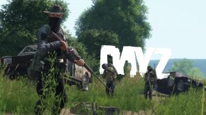 Встретил конвой в DayZ