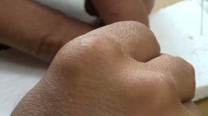 Препарирование ротового аппарата таракана