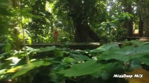 Ритмичная музыка и красивые девушки. Vol57