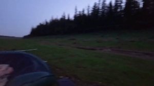 Здесь рыбы нет