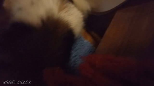 Опять вся в собаках. Гладь, чеши, всегда будь рядом! Всё, чего они хотят 😋 смотреть онлайн