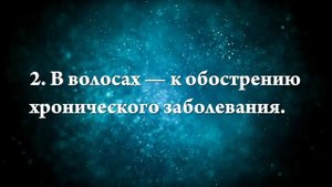 К чему снится паук Черная вдова - Онлайн Сонник Эксперт