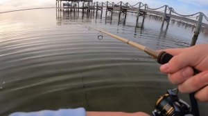 Skipping docks with Berkley gulp paddle tails