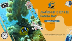 Дайвинг в Шарм-Эль-Шейхе.