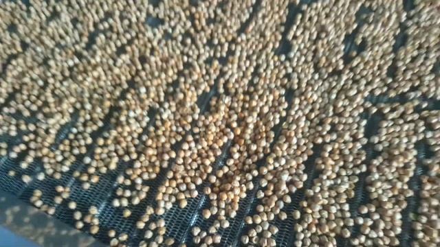 Машина для обжарки орехов - آلة تحميص المكسرات смотреть онлайн