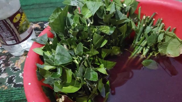 Лимон каламчадан кучат килиш смотреть онлайн